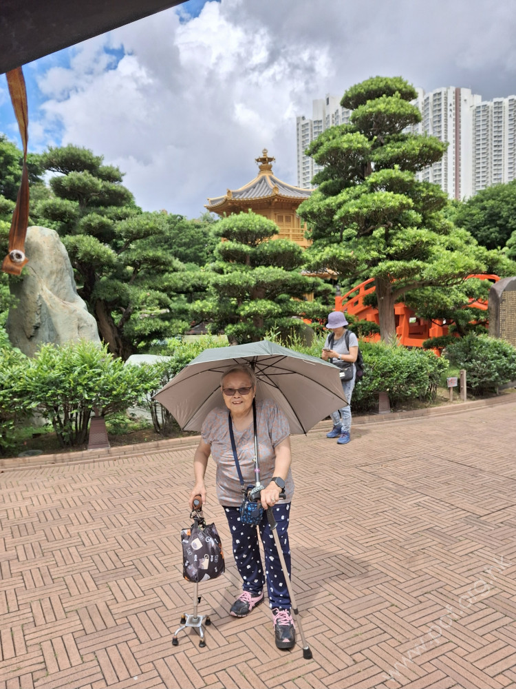 會員劉麗萍婆婆